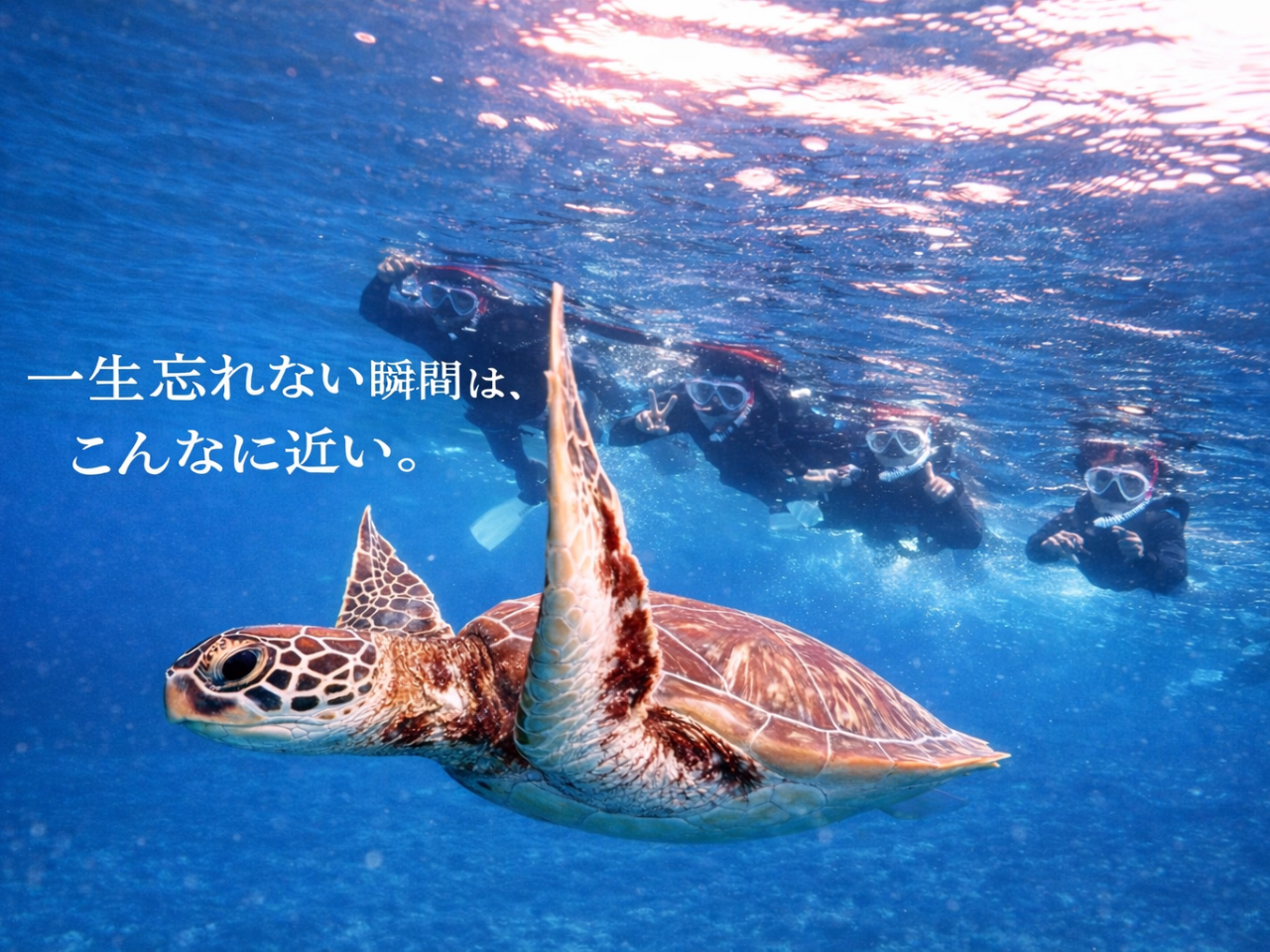 �E�~�K��������ȋ߂��� �C���X�g���N�^�[�����΂ň��S�T�|�[�g