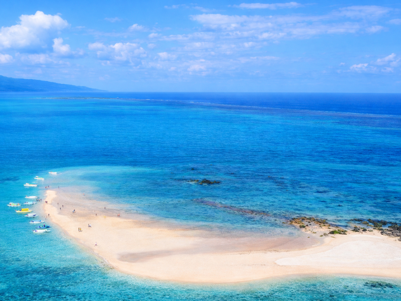 ���ʎ�p��ς��錶�̓��A�㗤�ł���̂͌���ꂽ����