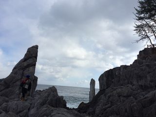 柵から大分降りてきました。ワクワクしてきます!