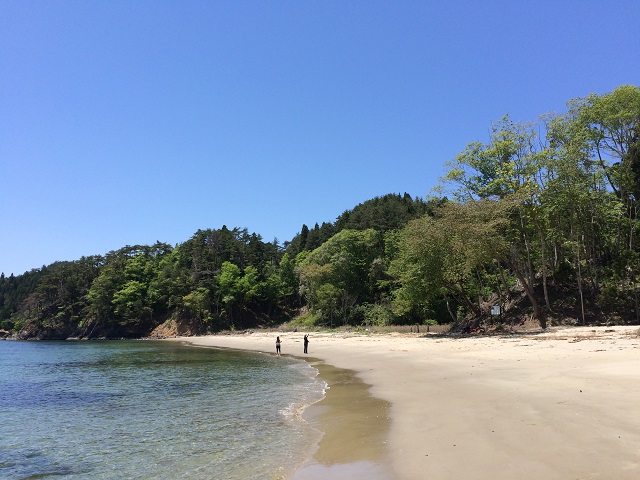 ړIn͍VRLŐlłBVC悯΂Ɩ܂I