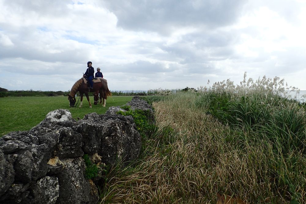 海が見える場所を通ります