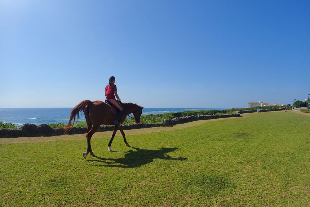 大河ドラマの舞台になった祭殿を横目に、青々とした草原を歩きます。