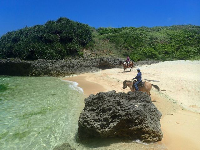 岸壁に囲まれた隠れたビーチまで乗馬します。