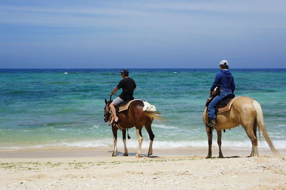 fGȊCobNɎBʐ^͖YȂvöꖇɁI