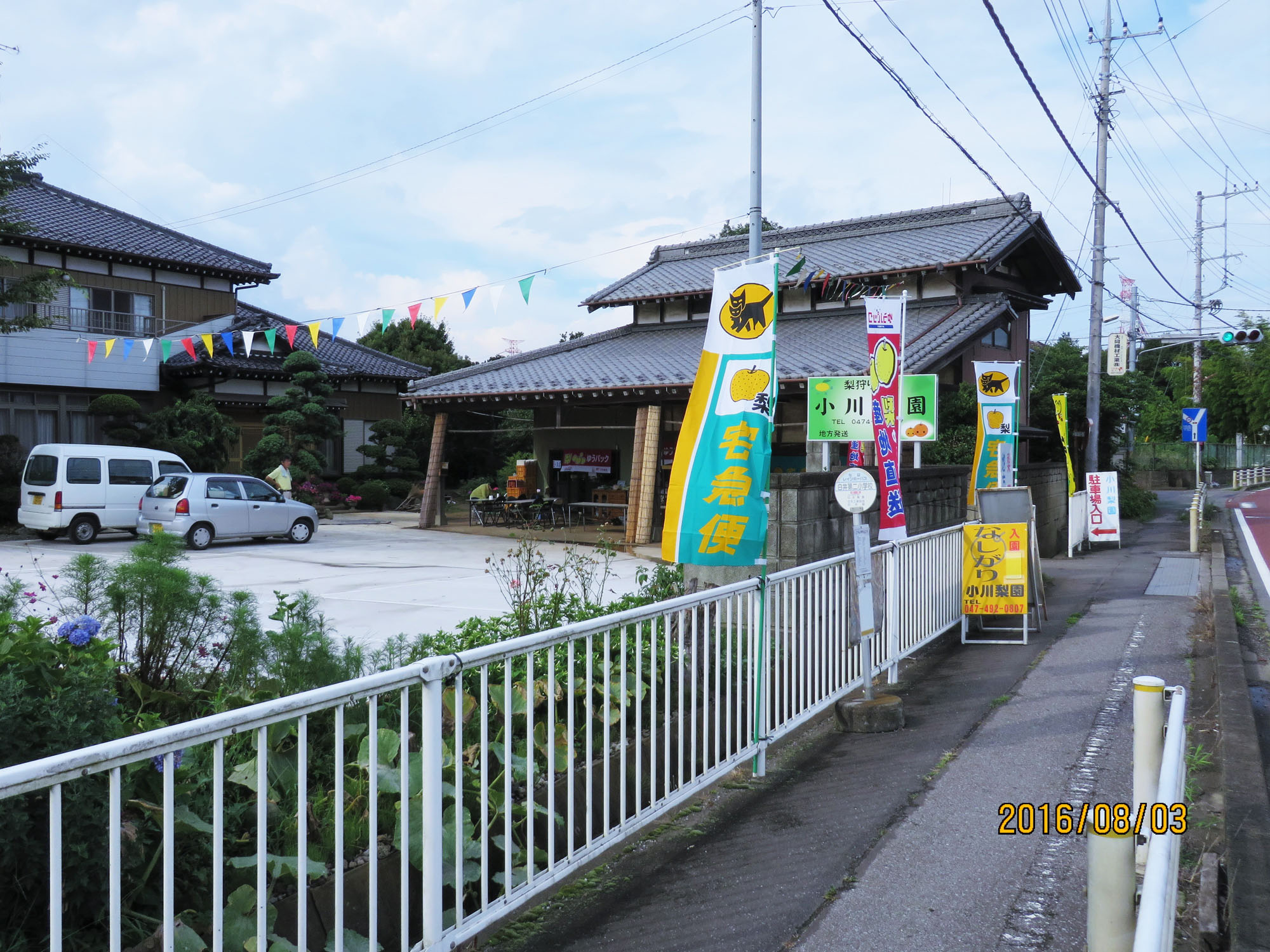味が自慢!千葉・白井の梨狩り体験8月15日~10月12日