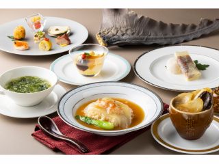 フカヒレづくしコース