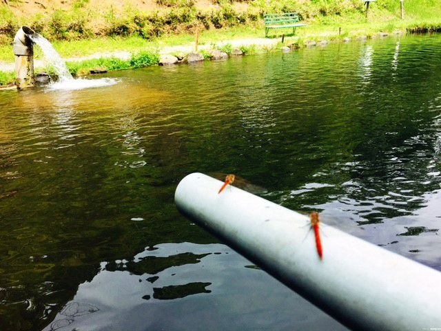 のどかな空間でゆったり♪