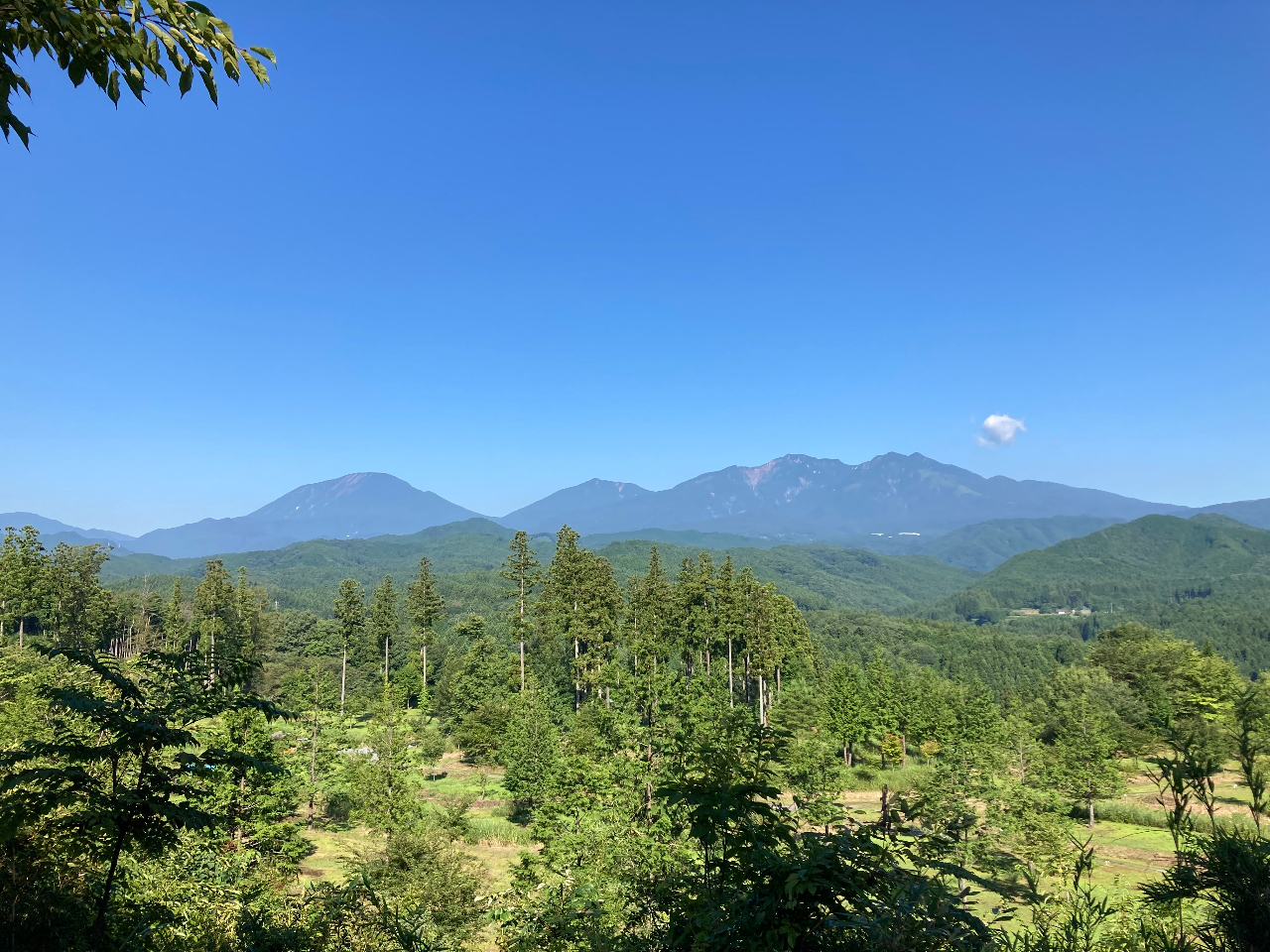 ハイキングコースから☆彡