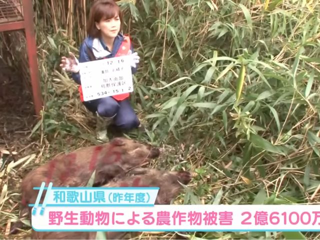 テレビ出演多数のプロハンター