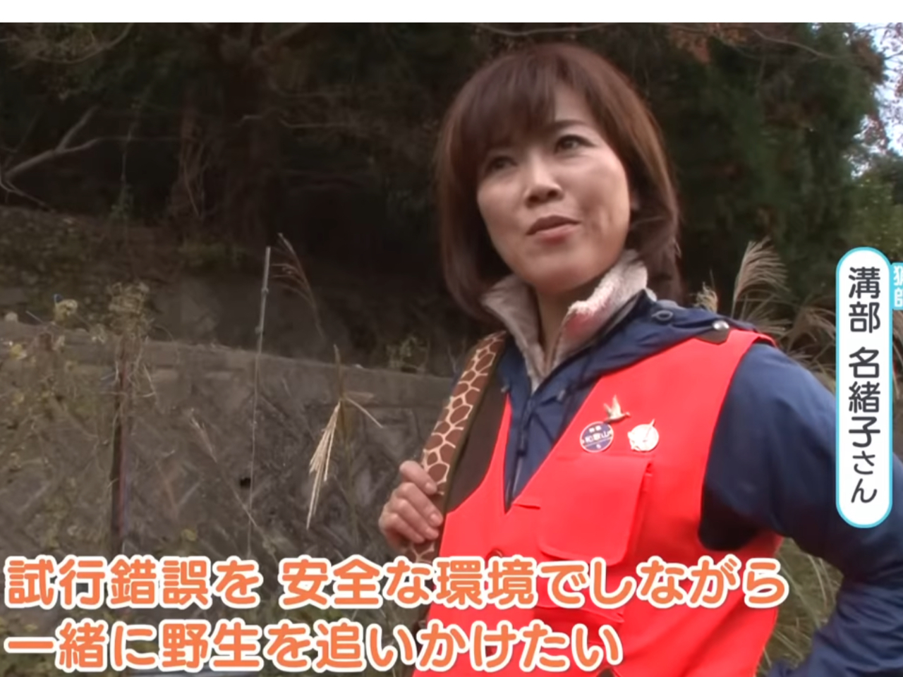 qɖ쐶Ő邱Ƃ邱Ƃ`B@