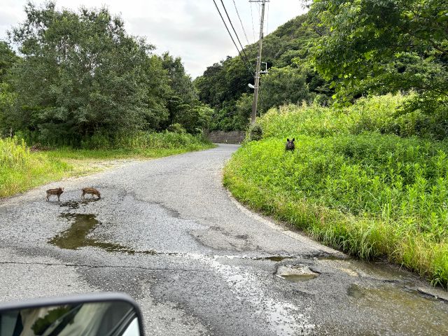 出会えちゃうかも
