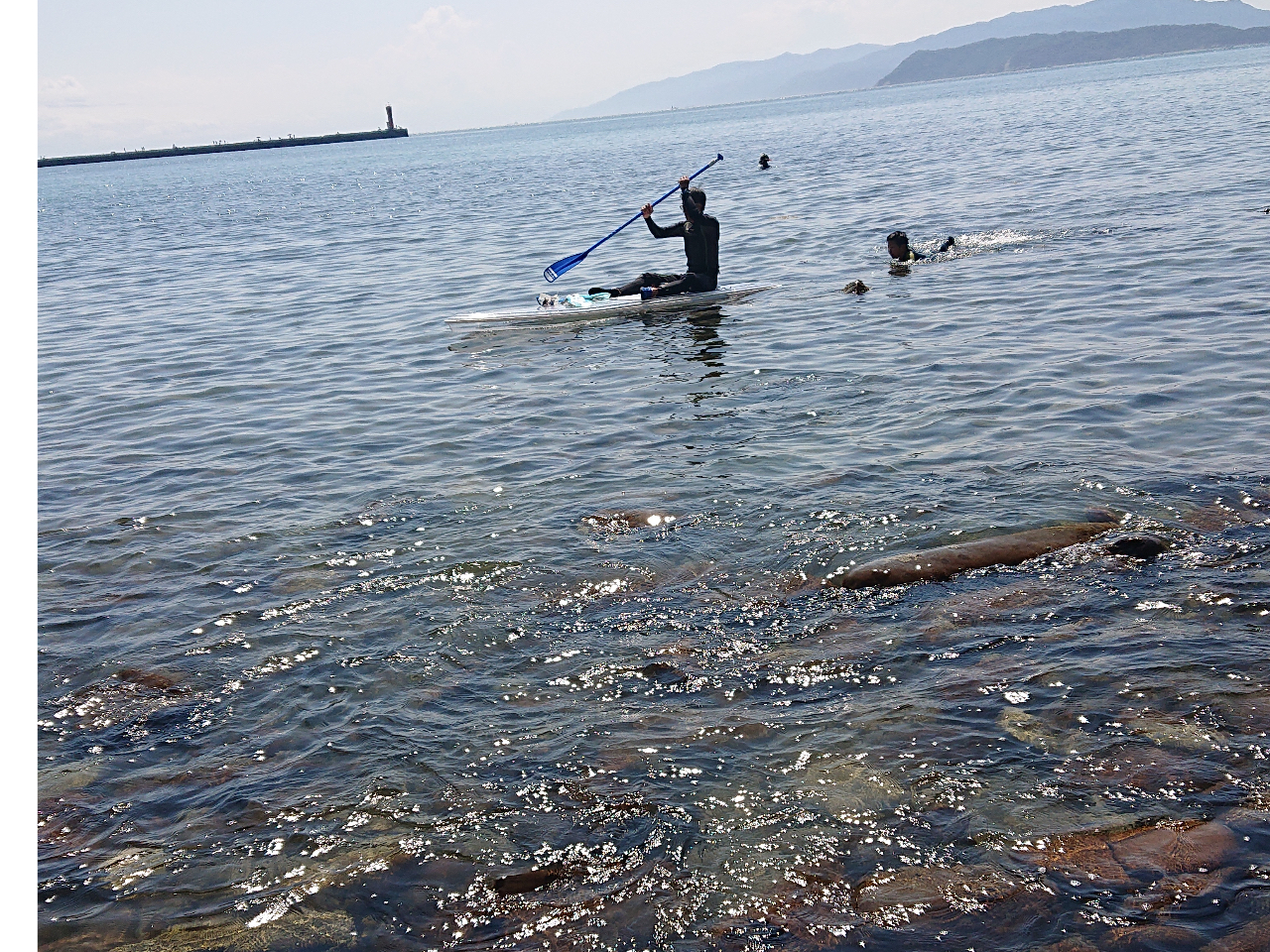 qQlĂvISUPŊC̒`Ⴈ!