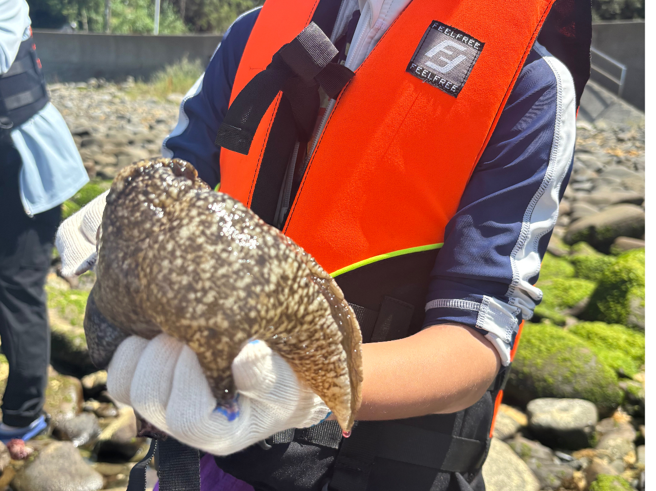 [IH̃OjOjȂɁ[HI@킢[I