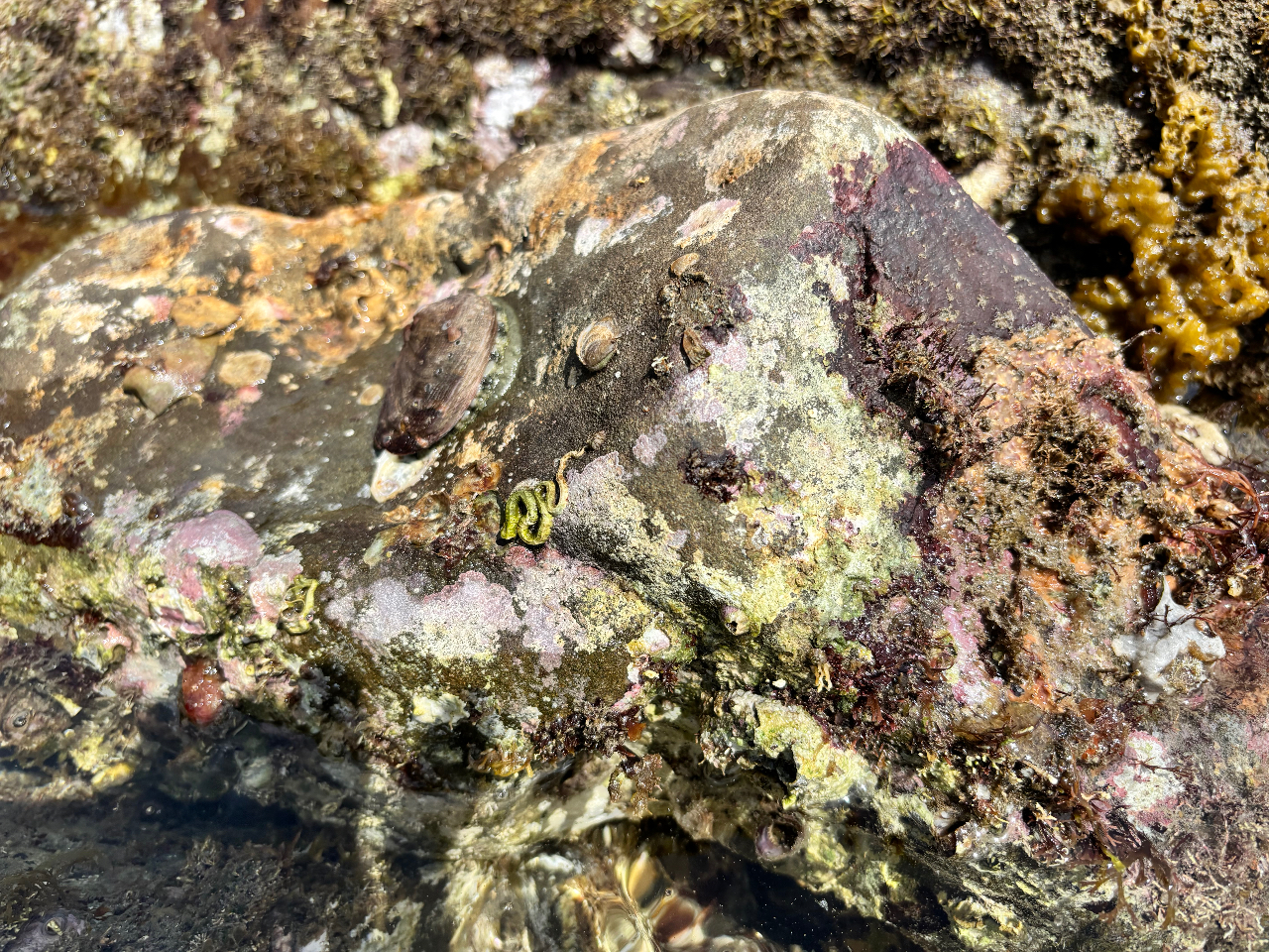 ȊLBĂ`IāAǁ`H݂邩ȁH