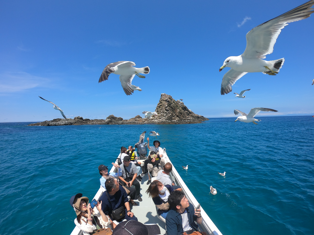 ��l���q�����勻���̃J�����̂ӂꂠ���̌�