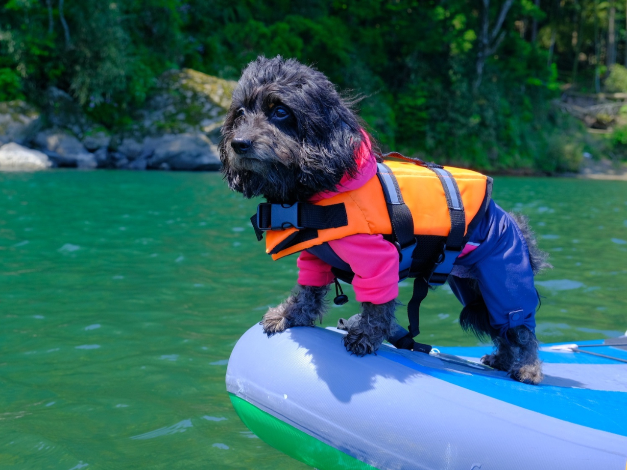 ɁICtWPbg܂[i^1,000~j