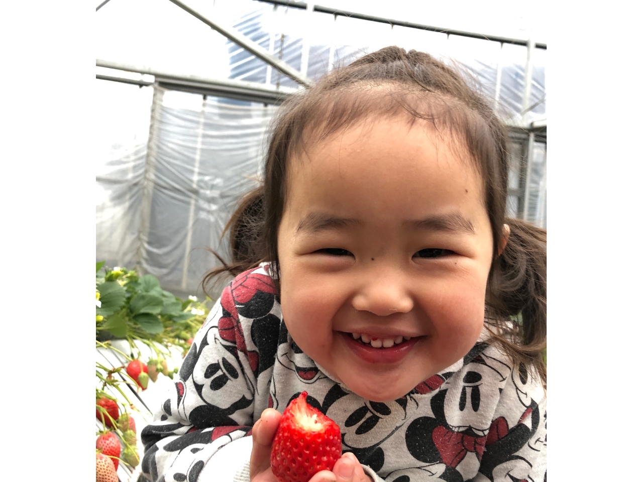 �����ς��H�ׂ����