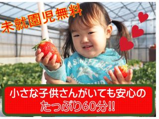 小さなお子さんがいてもゆったり楽しめます