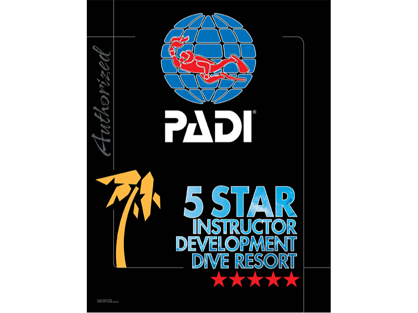 ���{�ŗB���PADI 5ST IDR �̂��X�ł��B