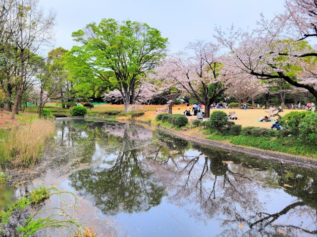 �k�̊ی����@���C���[�W