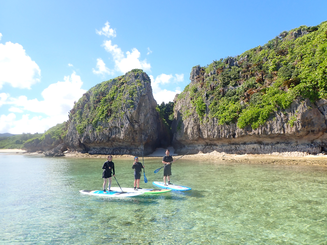 JbvAƑAO[vAc̗lAFlły݂܂