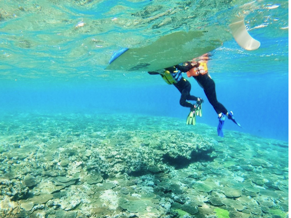 ȂqlVm[POɊĂȂSUPɂ܂Ȃ̌ł܂