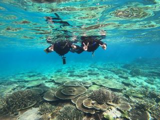 ビーチエントリーシュノーケリング♪