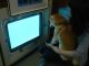 海賊遊覧船ゆーみんフック号