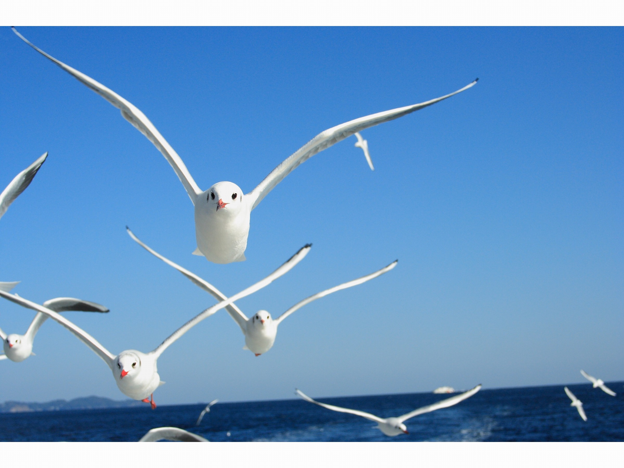 �J����