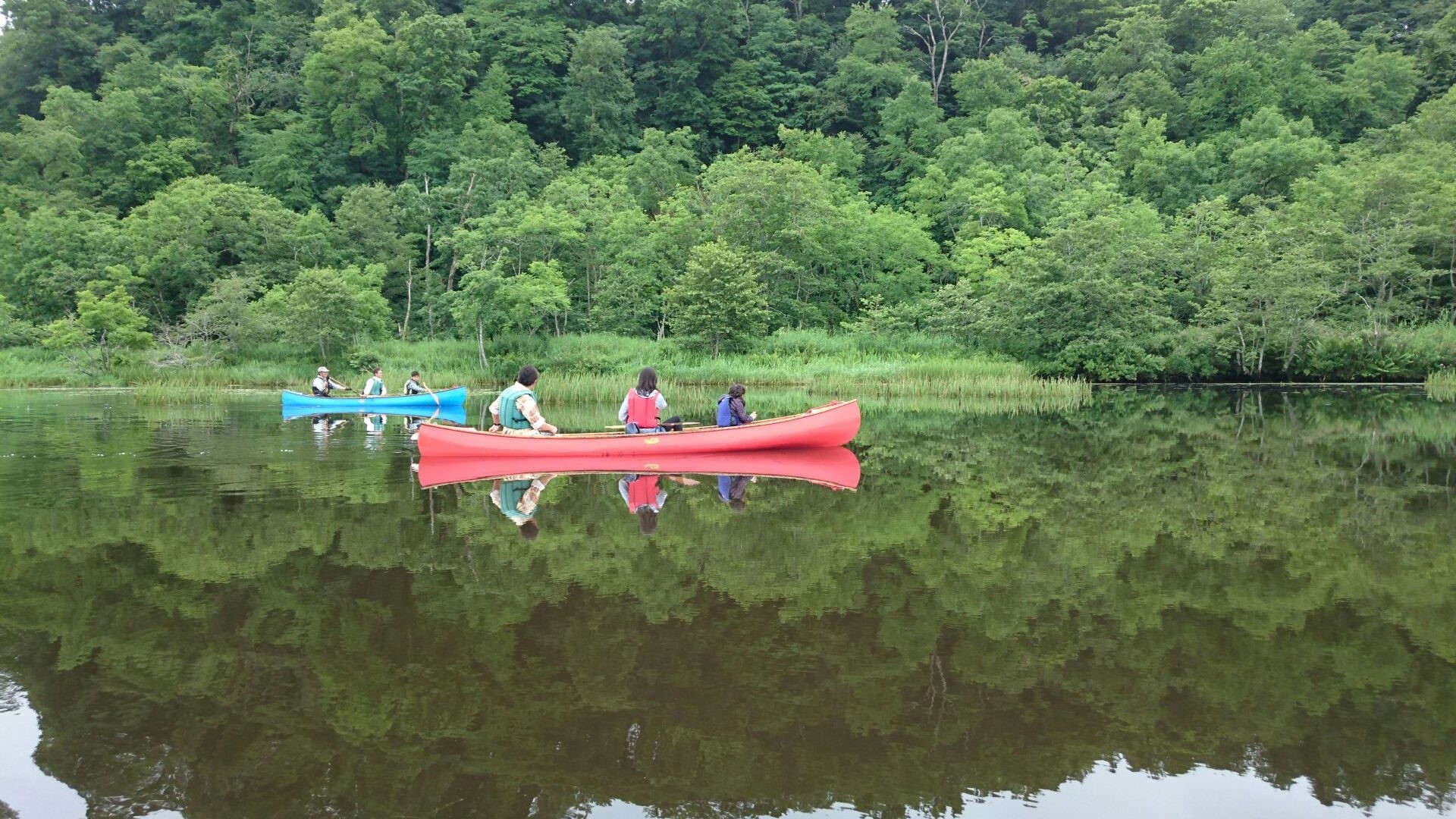 ꂪ₩Ȃ̂ŕアɂ͐ʂɋ̂悤ɌiFJk[ʂ܂B