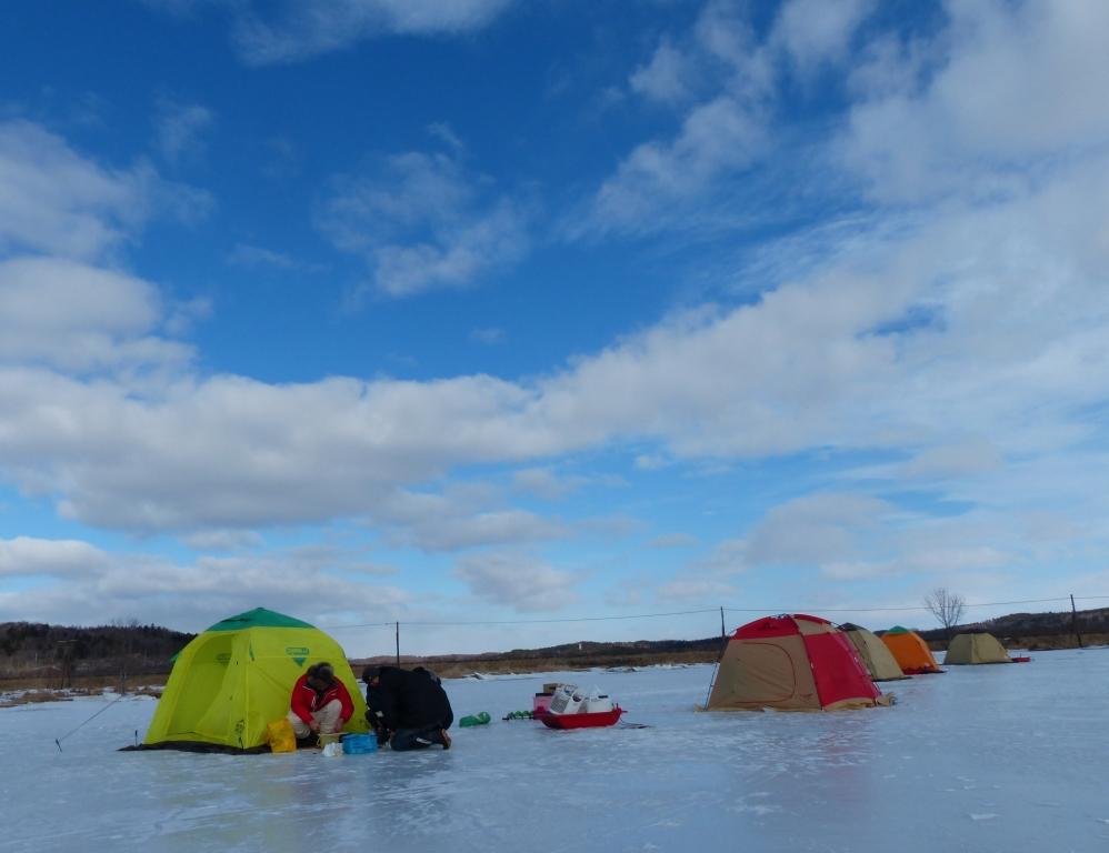 手ぶらでOK!わかさぎ釣り体験ツアーin厚岸別寒辺牛川