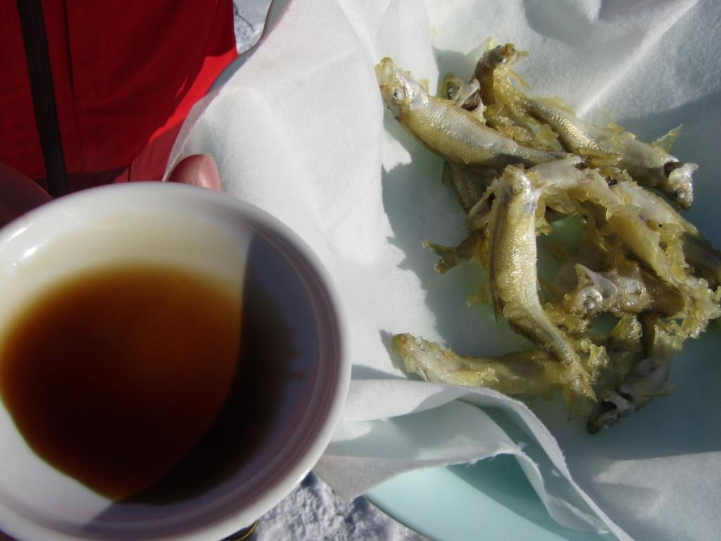 킩̓VՂ̓RLGIWiÂݖƋ̂