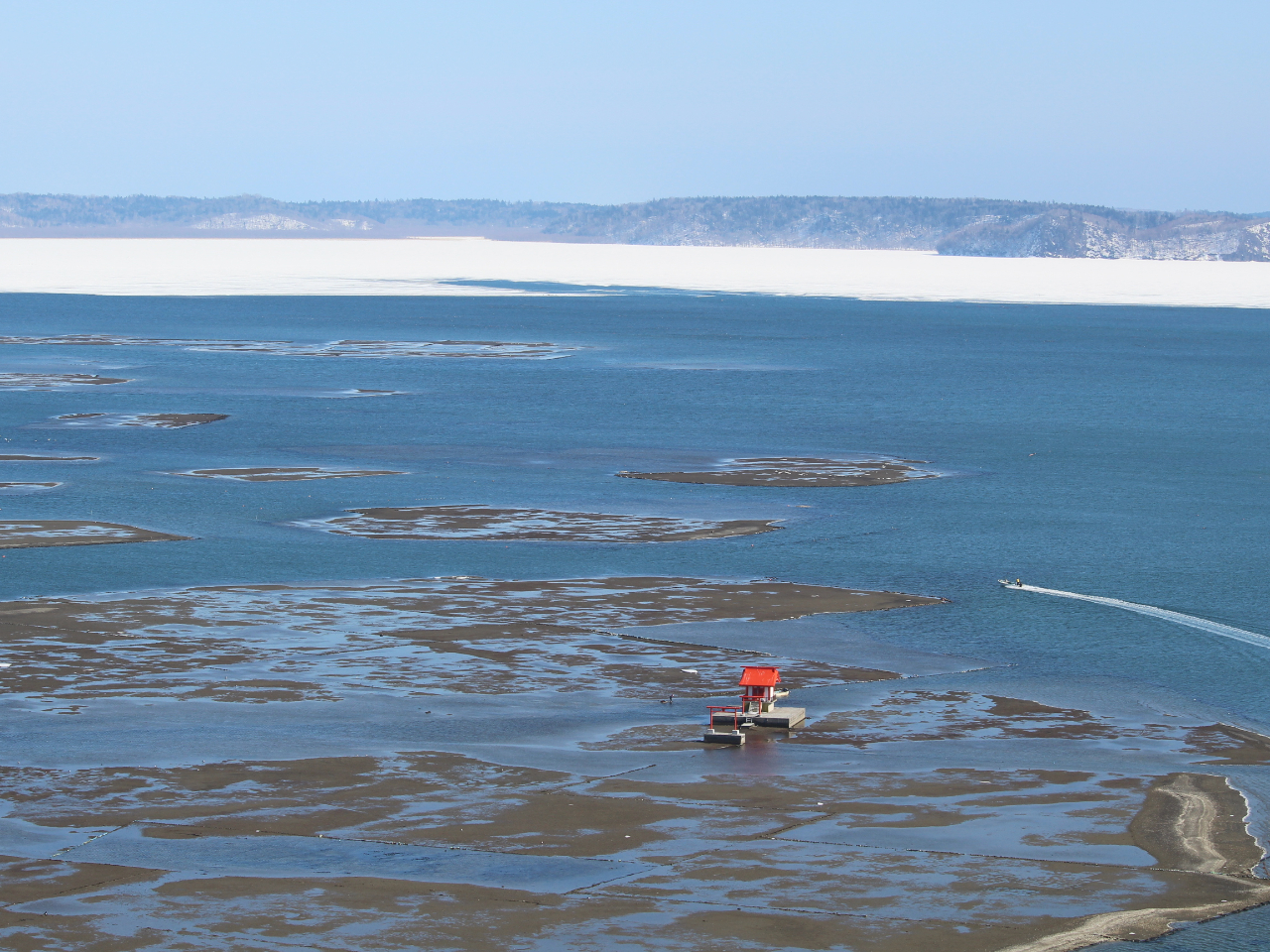 【冬のネイチャーウォッチングツアー】厚岸湖展望コース ~1名様予約OK♪