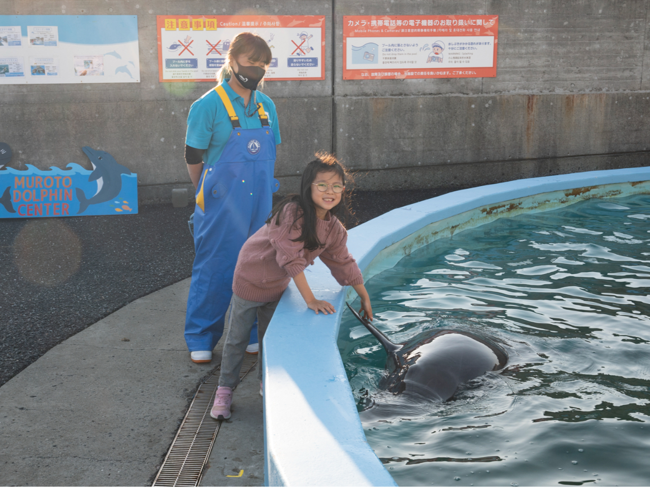 トレーナー体験】イルカにサインを出してトレーナー気分を味わおう20分