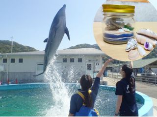 目の前でジャンプ!イルカのトレーナー目線で見れちゃう♪〜ミニチュアビーチ付き〜