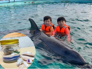 イルカと楽しい時間を♪〜ミニチュアビーチ付き〜