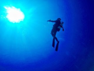 八重山の海でダイバーデビュー★