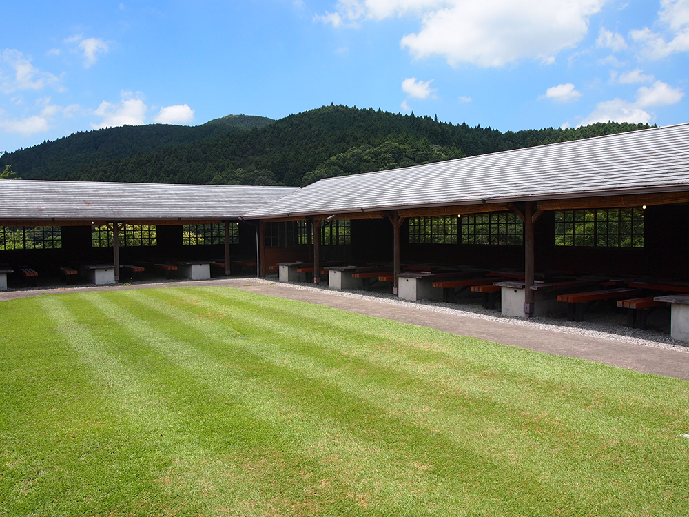 �F�ɉ������t���Ă���̂ŁA�J�ł��o�[�x�L���[�����y���݂��������܂��B