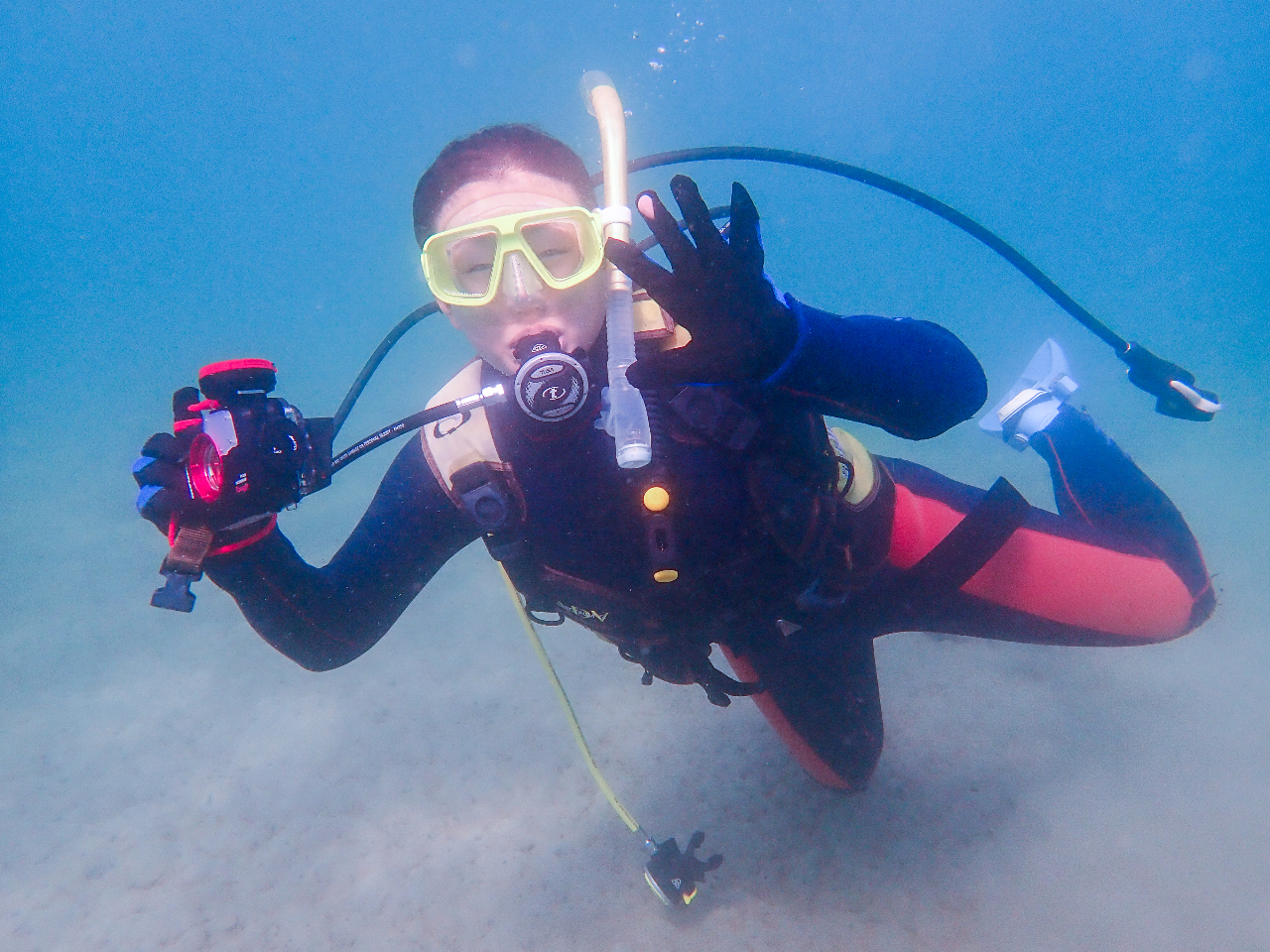 ���߂Ă̊C�ŏ��߂Ă̐����ʐ^��̌����܂��傤