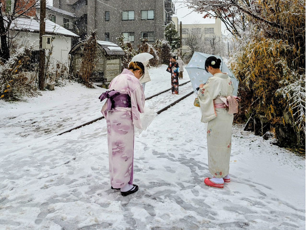 �~�̋���{���Ւn�ɂ�