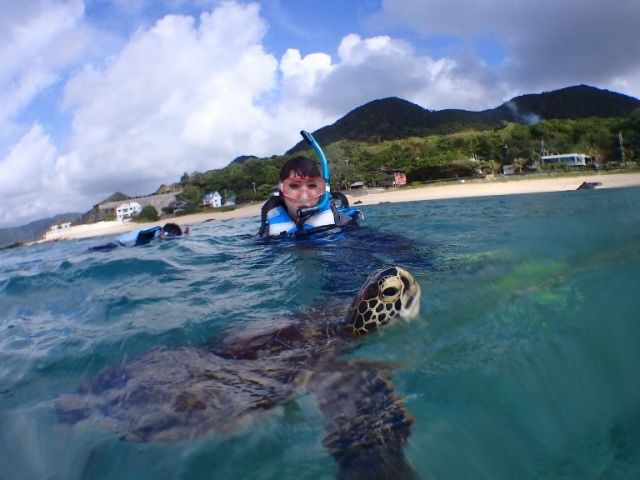 ウミガメの息継ぎがかわいい