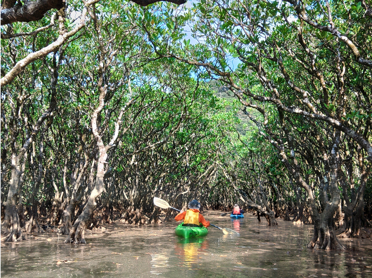 癒されるポイントへ