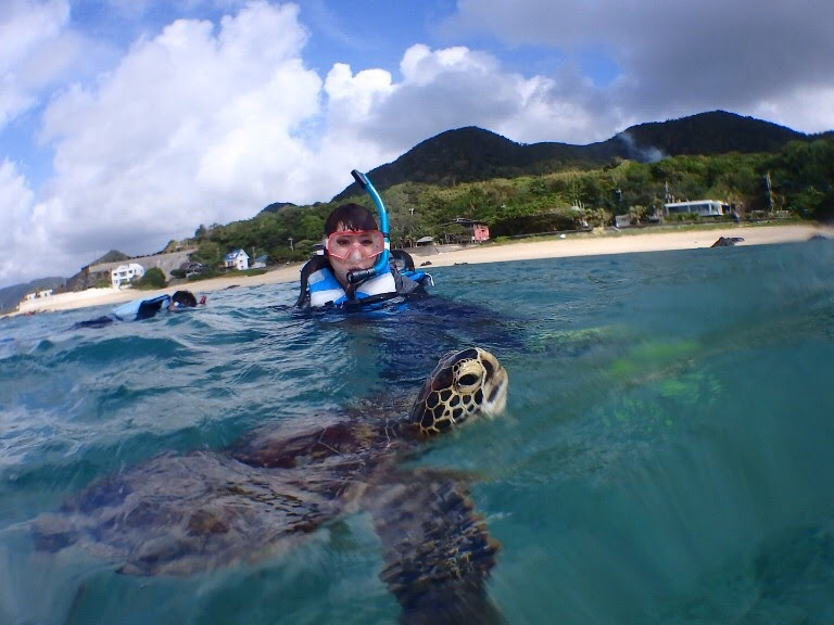 ウミガメの息継ぎ