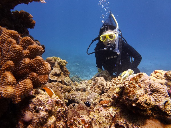 ���Ԃ����߂ɂ̂�т�ł��܂�