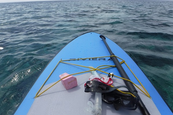 �T���S�̂��ꂢ�ȏꏊ�ŃV���m�[�P��