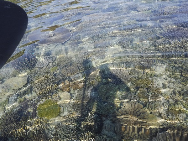 ���ꂩ��̋G�߂���Ȋ����ł�