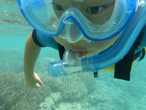 小さなキッズ大歓迎