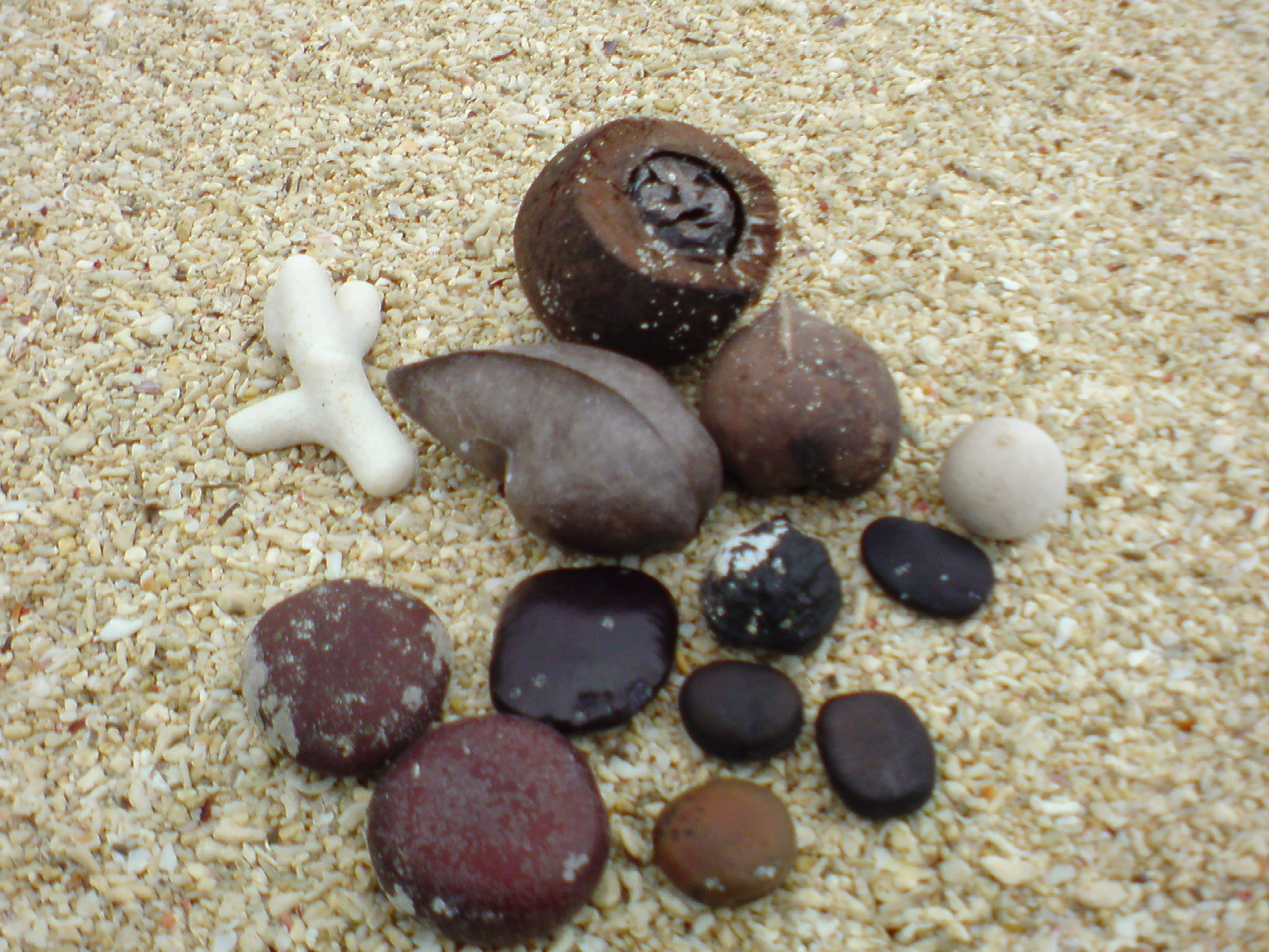 C^[őxeł̓r[`R[~O܂