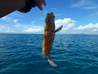 気持ちのいい日、気持ちのいい釣り。