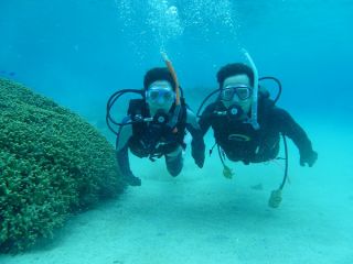 WELL COME TO OKINAWA